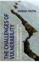 Challenges of Vulnerability