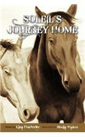 Soleil's Journey Home