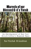 Marvels of our Blessed G-d's Torah