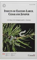 Insects of Eastern Larch, Cedar and Juniper