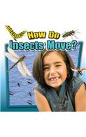 How Do Insects Move?