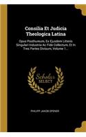 Consilia Et Judicia Theologica Latina