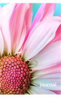Journal