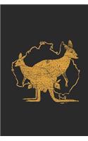 Kangaroo Asutralia