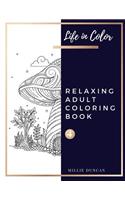 RELAXING ADULT COLORING BOOK (Book 4): Anxiety and Depression Relaxing Coloring Book for Adults - 40+ Premium Coloring Patterns (Life in Color Series)