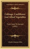 Cabbage, Cauliflower And Allied Vegetables