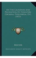 On The Causation And Prevention Of Dysentery, Cholera, Diphtheria, Etc. (1873)