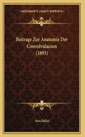 Beitrage Zur Anatomie Der Convolvulaceen (1893)
