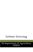 Lettuce Growing