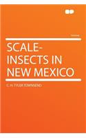 Scale-Insects in New Mexico