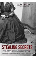 Stealing Secrets: How a Few Daring Women Deceived Generals, Impacted Battles, and Altered the Course of the Civil War
