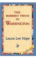 Bobbsey Twins in Washington