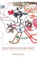 What's Wrong with My Child?: Navigating Through the Maze of Diagnostic Information(English)