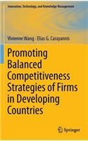 Promoting Balanced Competitiveness Strategies of Firms in Developing Countries