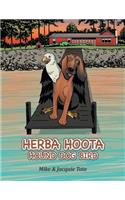 Herba Hoota Hound Dog Bird