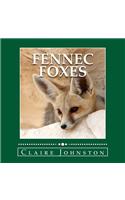 Fennec Foxes