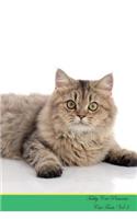 Tabby Cat Presents: Cat Facts Workbook. Tabby Cat Presents Cat Facts Workbook with Self Therapy, Journalling, Productivity Tracker with Self Therapy, Journalling, Productivity Tracker Workbook. Includes: Space for Notes, to Do Lists, Brainstorms. V