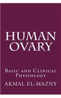 Human Ovary