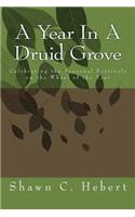 A Year In A Druid Grove