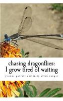 chasing dragonflies: I grow tired of waiting