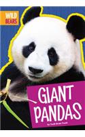 Giant Pandas