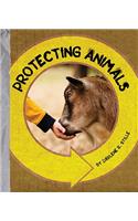 Protecting Animals