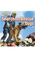 Search-And-Rescue Dogs