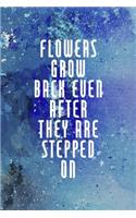 Flowers Grow Back Even After They Are Stepped On