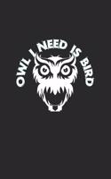 Owl I need is bird