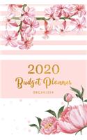 2020 Budget Planner Organizer