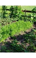 Vegie Garden Notebook Large Size 8.5 x 11 Ruled 150 Pages Softcover