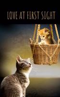 Love at First Sight: Cat Lovers Blank Lined Journal/Dairy/Log Book or Notebook to record all your favorite things in here with a gorgeous cat lovers cover that will have