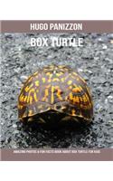 Box Turtle: Amazing Photos & Fun Facts Book about Box Turtle for Kids