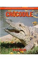 Crocodile! Learn about Crocodile and Enjoy Colorful Pictures
