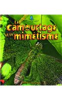 Le Camouflage Et Le Mimitisme