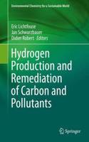 Hydrogen Production and Remediation of Carbon and Pollutants