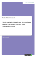 Mathematische Modelle zur Beschreibung des Backprozesses von Brot. Eine Literaturübersicht