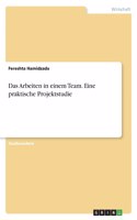 Arbeiten in einem Team. Eine praktische Projektstudie
