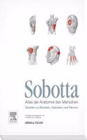 Sobotta Tabellen zu Muskeln Gelenken und