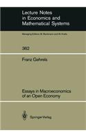 Essays in Macroeconomics of an Open Economy
