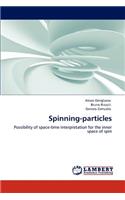 Spinning particles