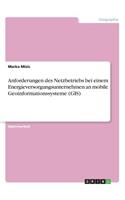 Anforderungen des Netzbetriebs bei einem Energieversorgungsunternehmen an mobile Geoinformationssysteme (GIS): (German)