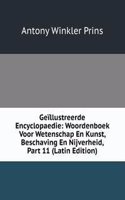 Geillustreerde Encyclopaedie: Woordenboek Voor Wetenschap En Kunst, Beschaving En Nijverheid, Part 11 (Latin Edition)