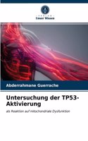 Untersuchung der TP53-Aktivierung