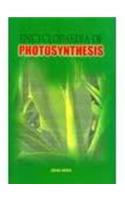 Encyclopaedia of Photosynthesis