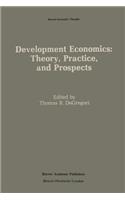 Development Economics: Theory, Practice, and Prospects