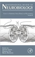 Essays on Peripheral Nerve Repair and Regeneration
