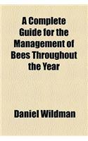 A Complete Guide for the Management of Bees Throughout the Year
