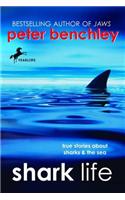Shark Life