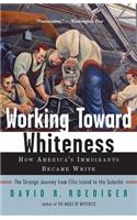 Working Toward Whiteness: How America's Immigrants Became White: The Strange Journey from Ellis Island to the Suburbs: How America's Immigrants Became White: the Strange Journey from Ellis Island to the Suburbs